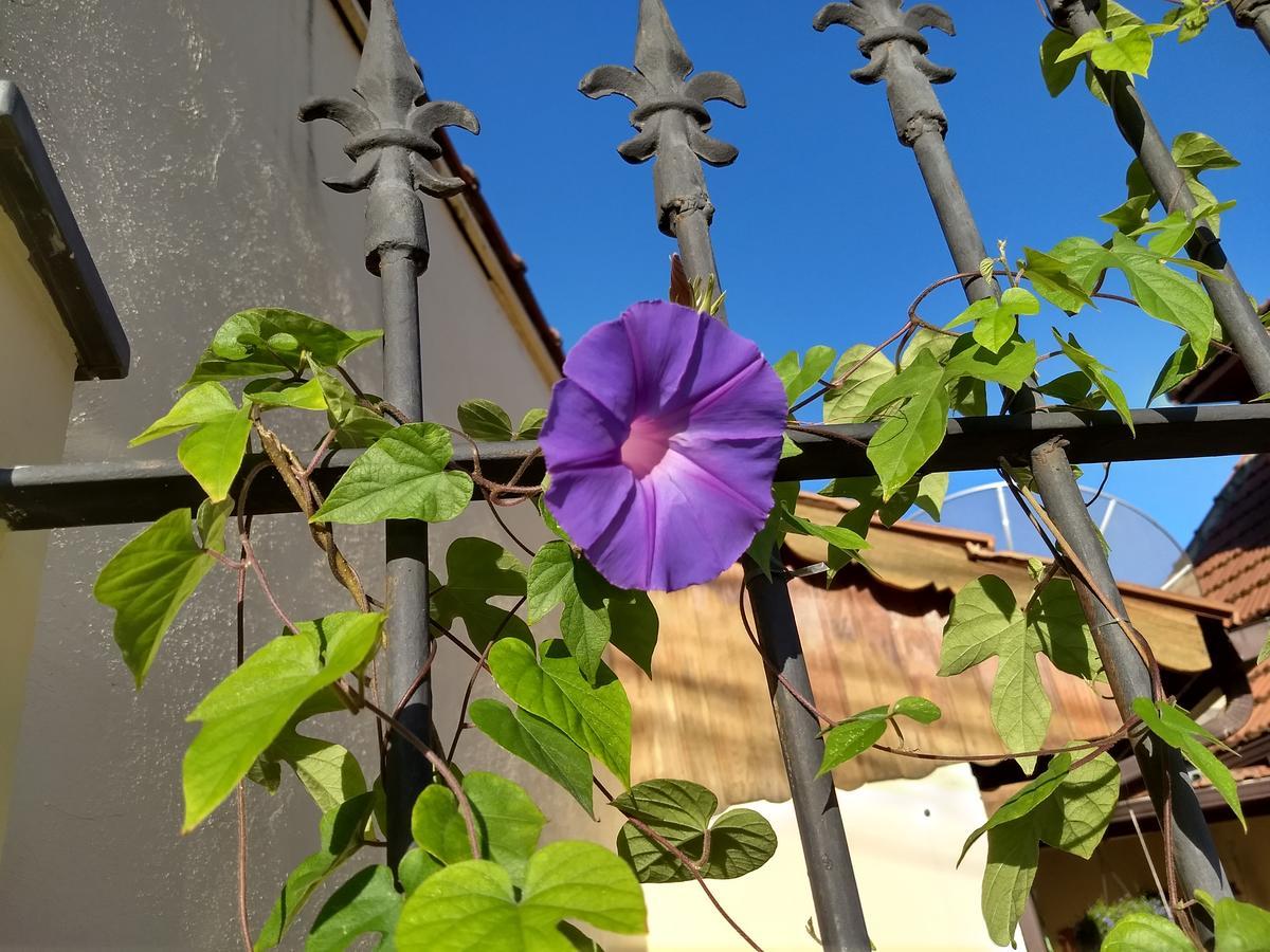 Pousada Castelinho Maricá Eksteriør billede